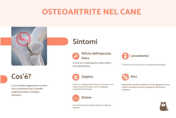 Osteoartrite nel cane: cos'è, sintomi, cause e cura