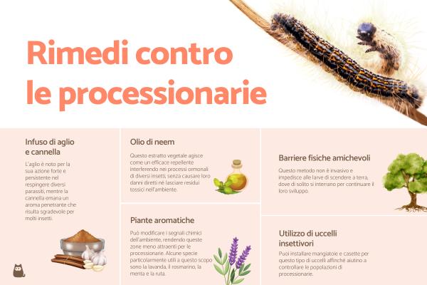 Rimedi naturali per eliminare i bruchi della processionaria