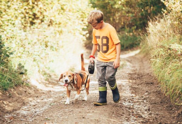 I migliori cani per una famiglia con bambini