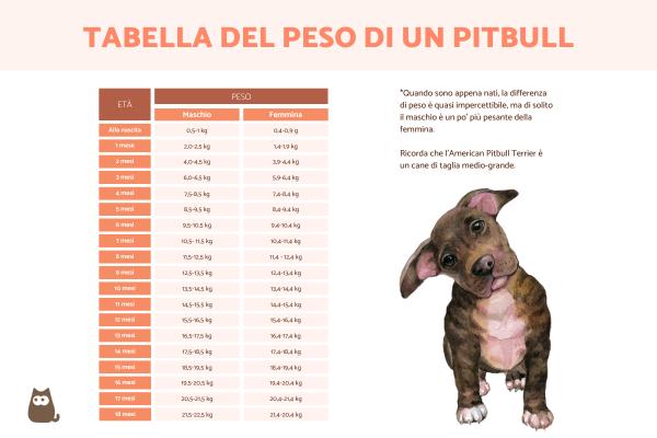 Quanto pesa un pitbull? - Quanto pesa un pit bull cucciolo?