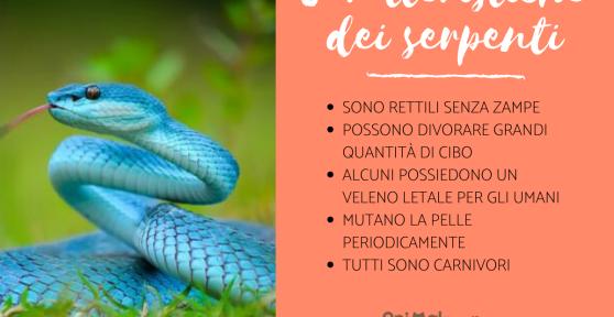 Serpenti: Caratteristiche e curiosità