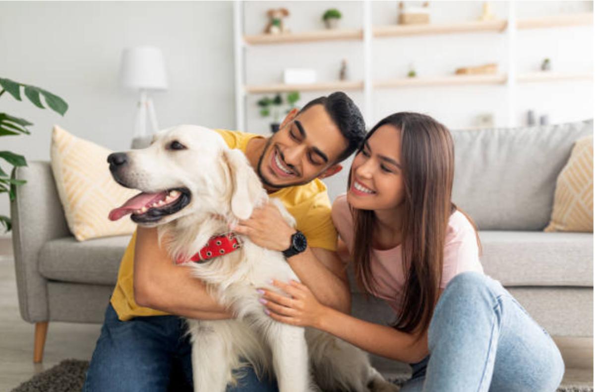 Perché il cane si mette in mezzo quando ci abbracciamo