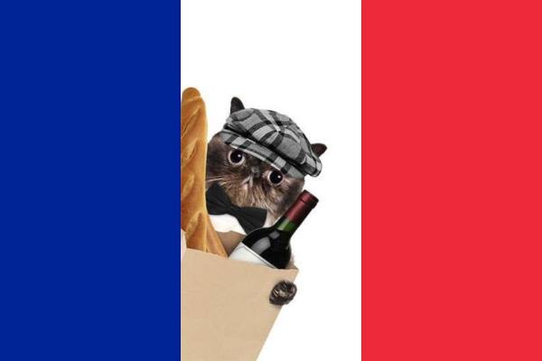 Nomi per gatti in francese