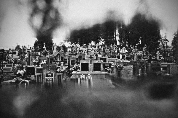 I cani avvertono presenze paranormali? - Conclusioni