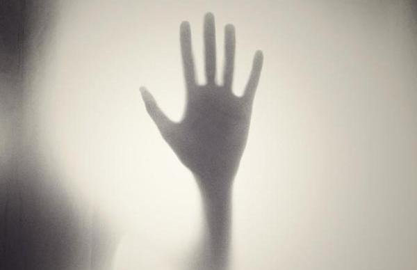 I cani avvertono presenze paranormali?