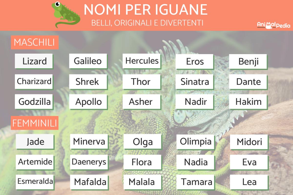 Nomi per iguane