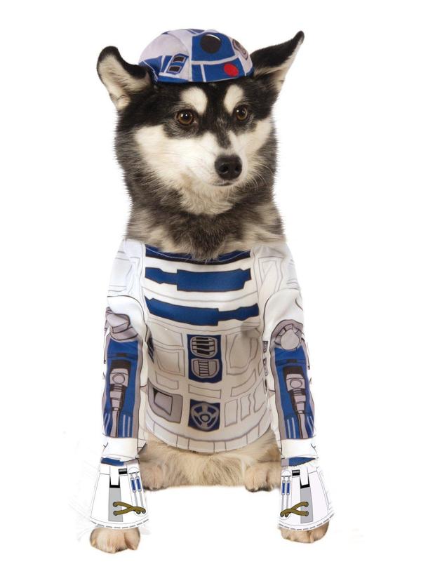 Tutti i costumi di Star Wars per cani - Costume della Principessa Leia