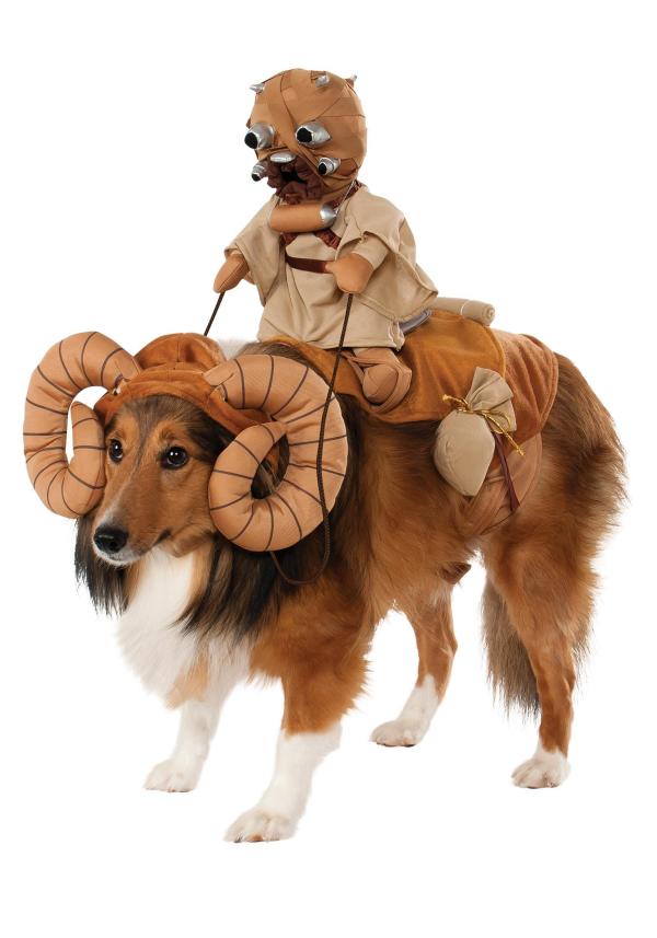 Tutti i costumi di Star Wars per cani - Costume di Darth Vader