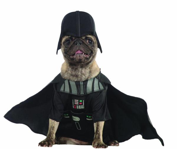 Tutti i costumi di Star Wars per cani - Costume di Ewok