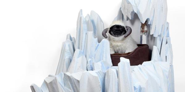 Tutti i costumi di Star Wars per cani - Costume di Han Solo