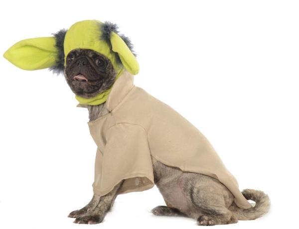 Tutti i costumi di Star Wars per cani - Costume di Obi-Wan Kenobi
