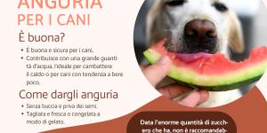 I cani possono mangiare l'anguria?