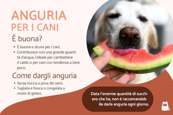 I cani possono mangiare l'anguria?