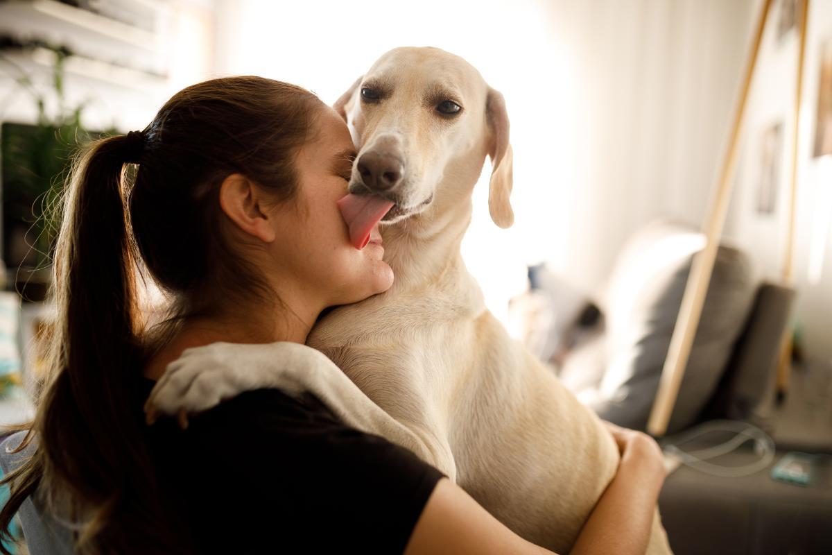 Cosa vuol dire quando il cane ti lecca la faccia?