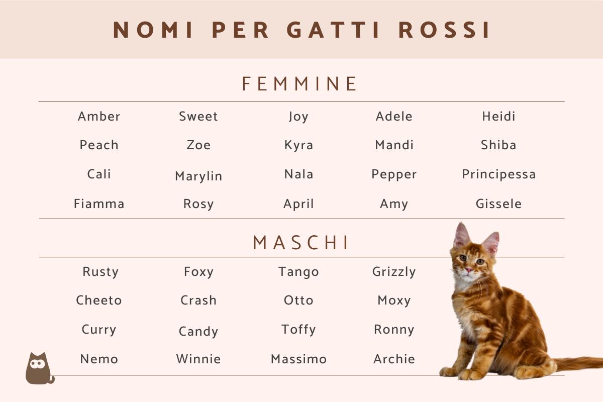 Nomi per gatti rossi