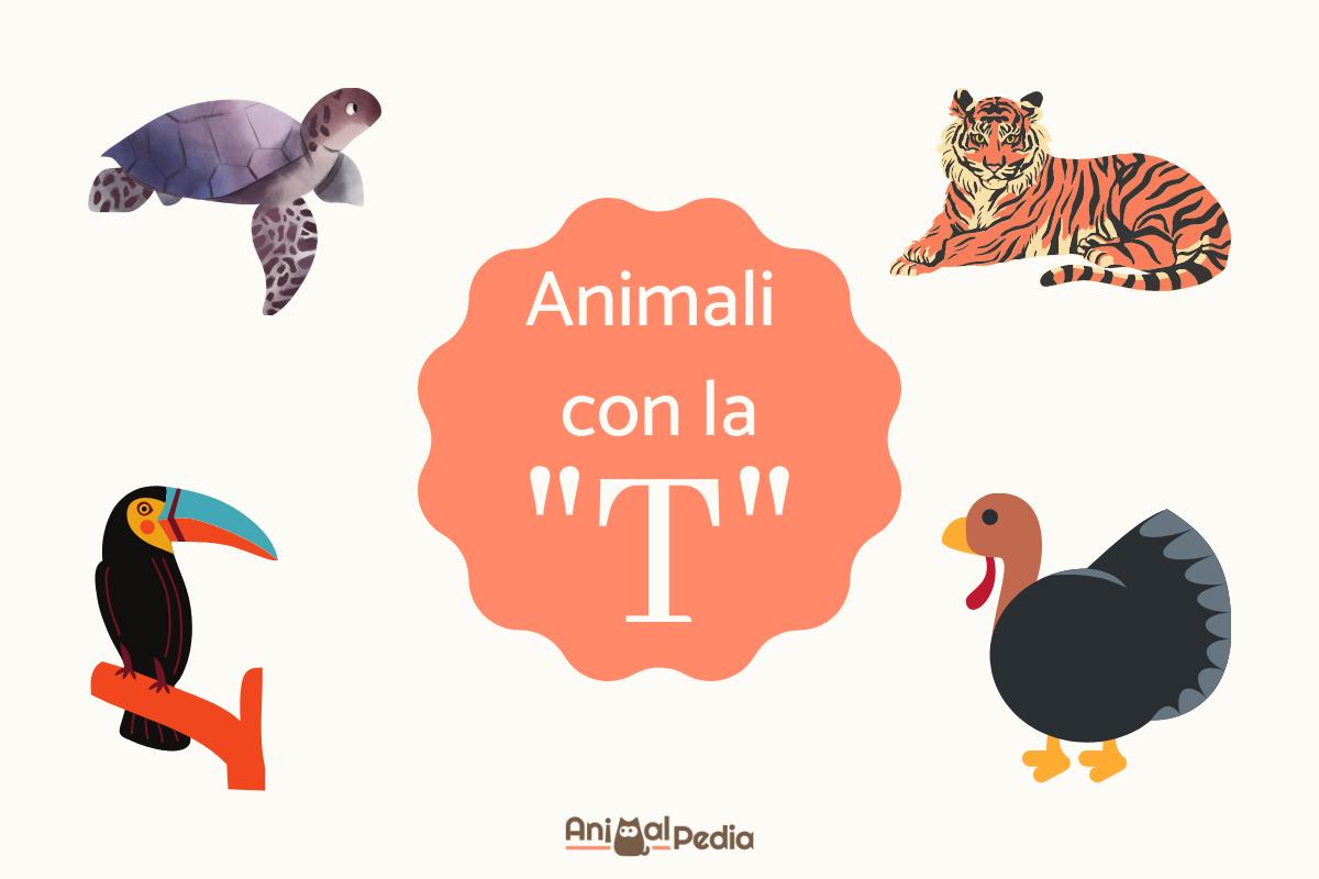 Animali con la T