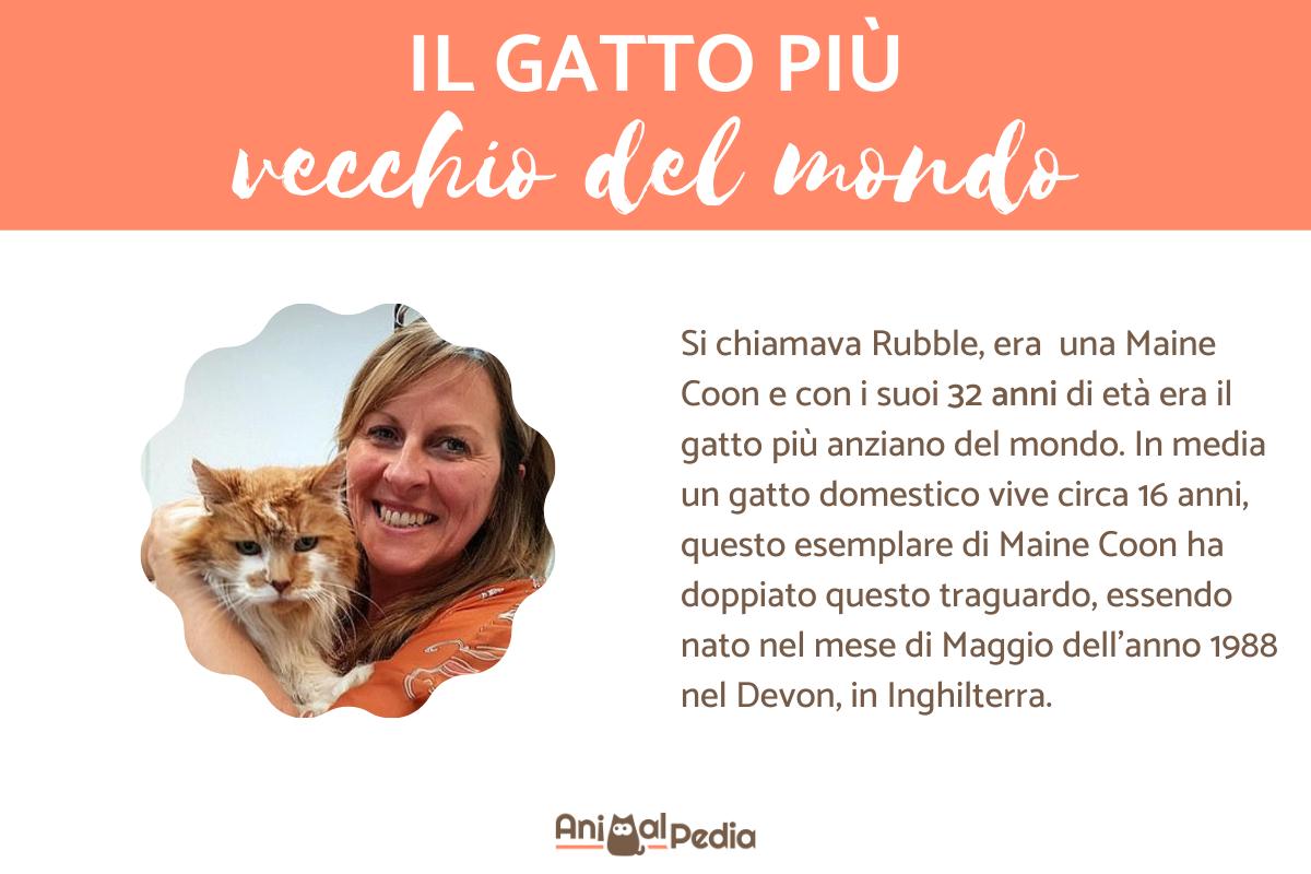 Il gatto più vecchio del mondo