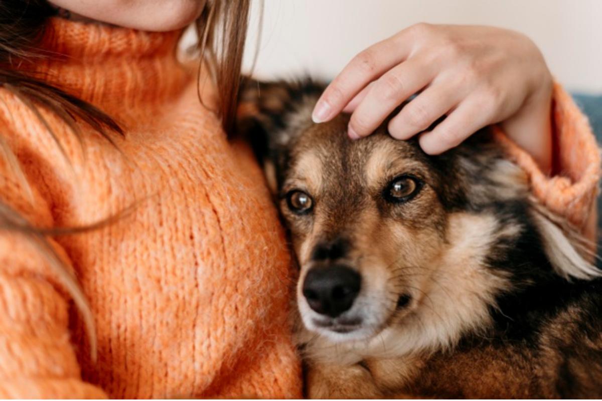 Come capire se il cane ti ha scelto come padrone