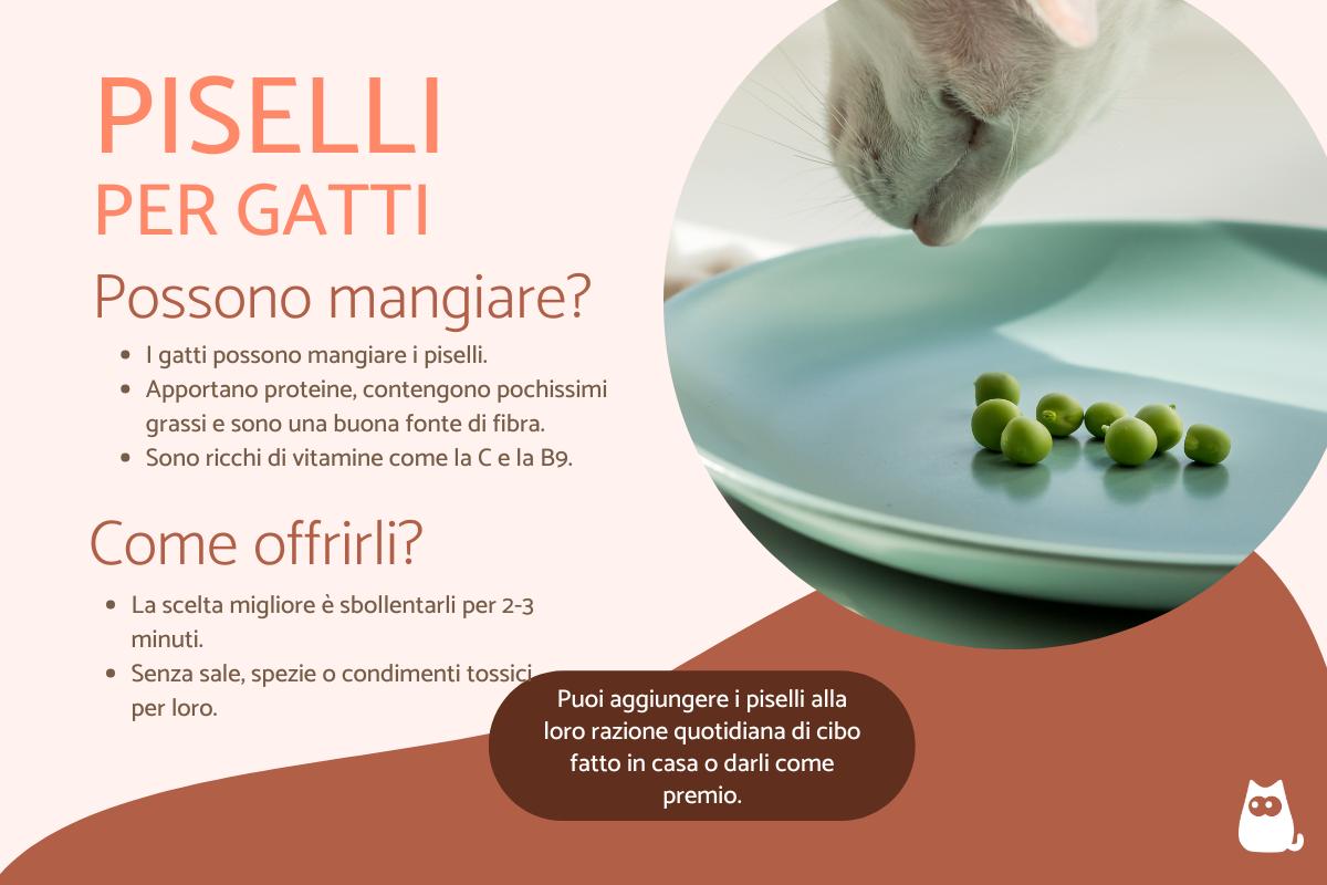 I gatti possono mangiare i piselli?