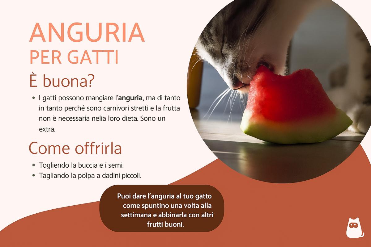 I gatti possono mangiare l'anguria?