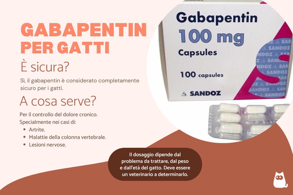 Gabapentin nei gatti: dosaggio e quanto dura
