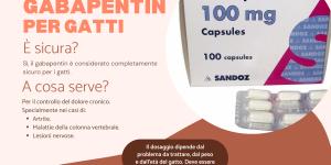 Gabapentin nei gatti: dosaggio e quanto dura