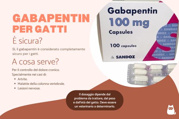Gabapentin nei gatti: dosaggio e quanto dura