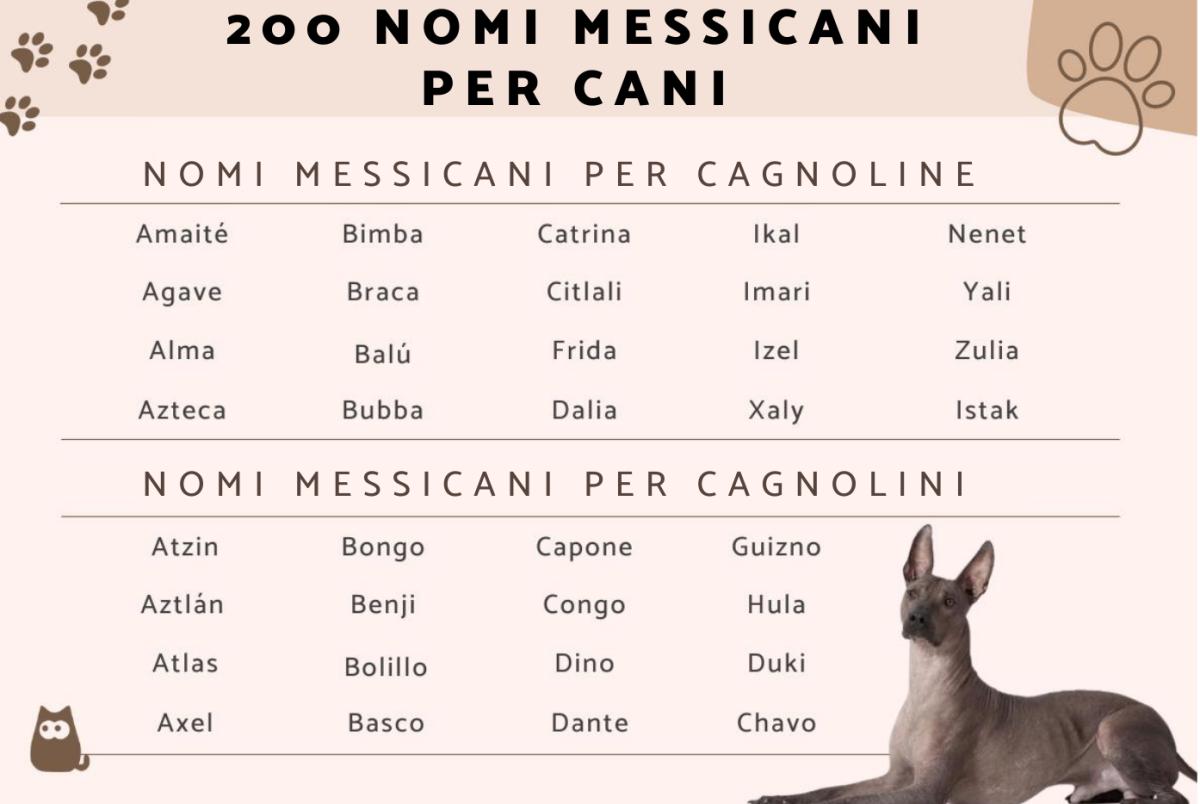 Nomi messicani per cani