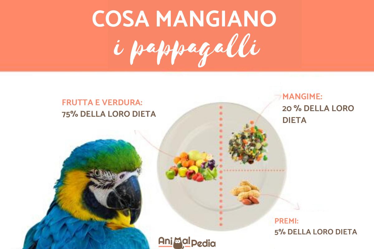 Cosa mangiano i pappagalli
