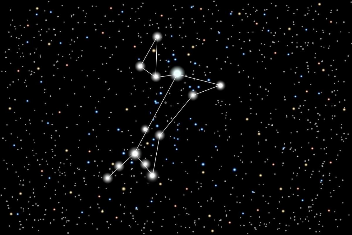 Nomi di stelle per cani