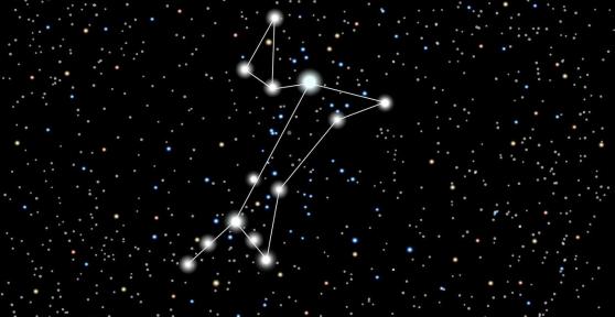 Nomi di stelle per cani
