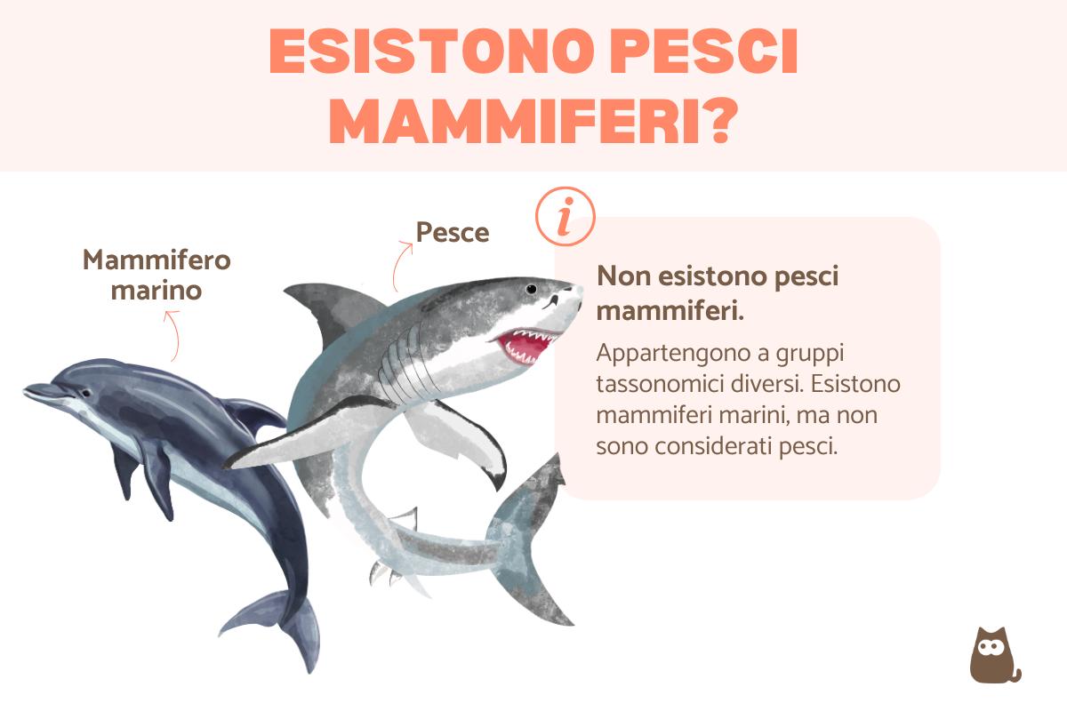 Pesci mammiferi: quali sono?