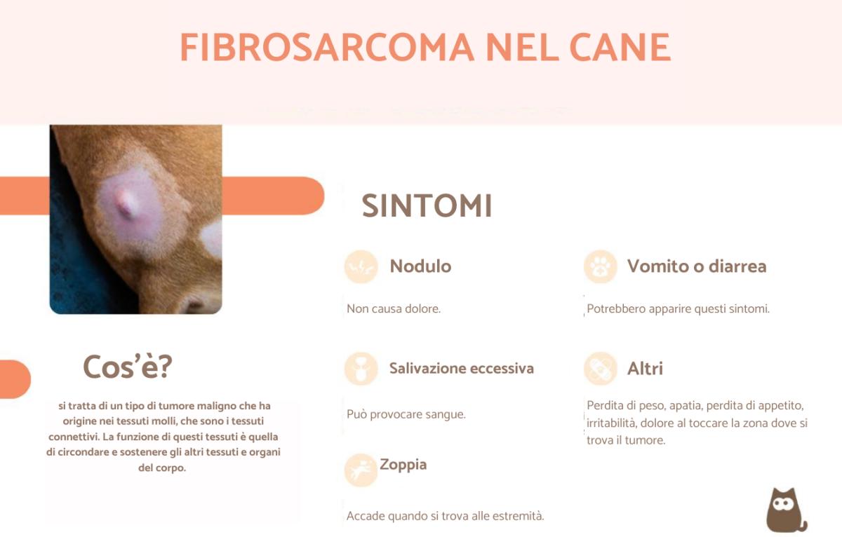 Fibrosarcoma nel cane: sintomi e trattamento