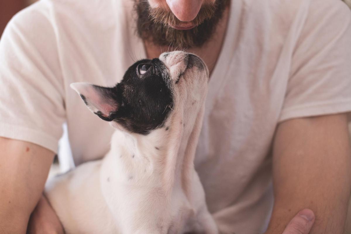 Perché i cani vogliono più bene a una persona?