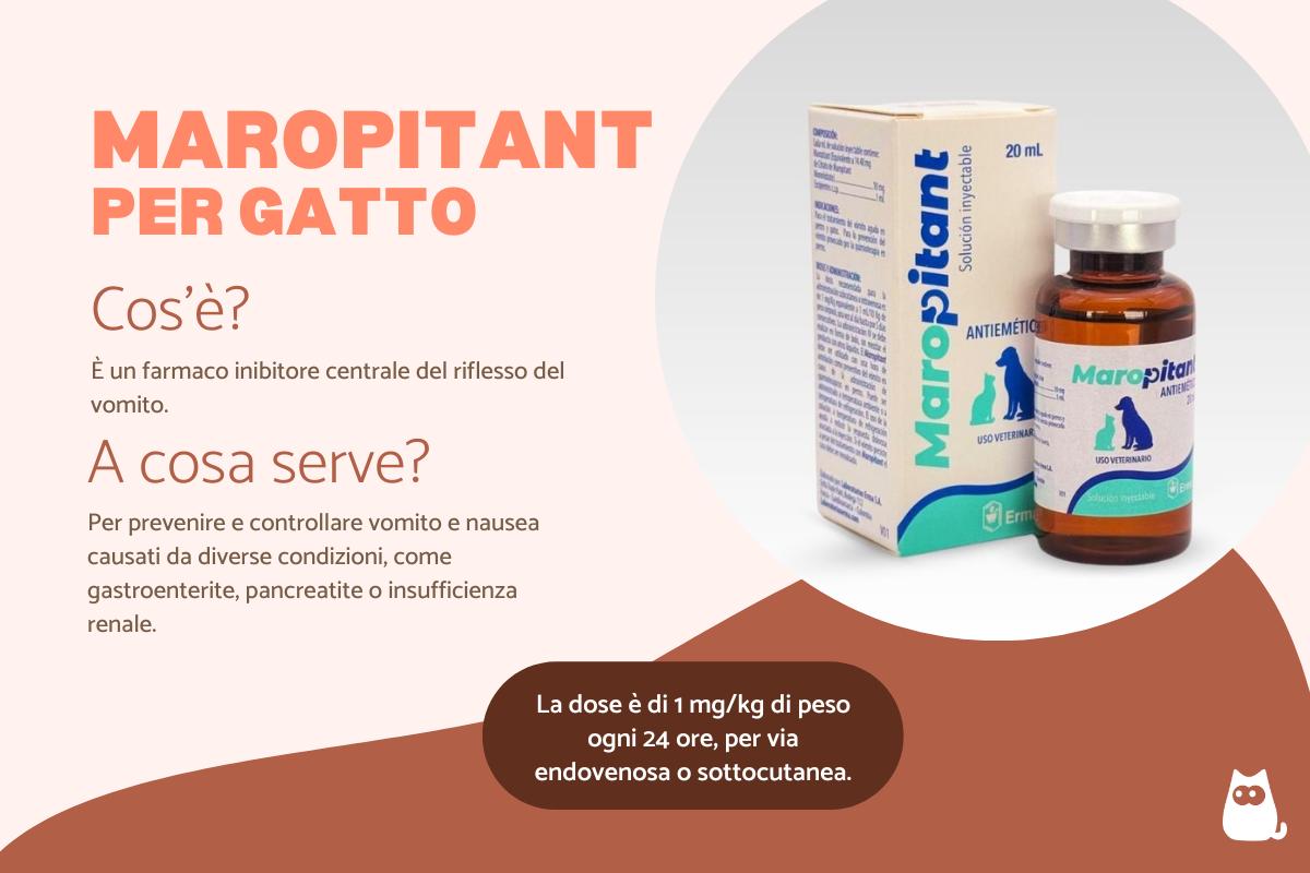 Maropitant per gatto: a cosa serve e dosaggio