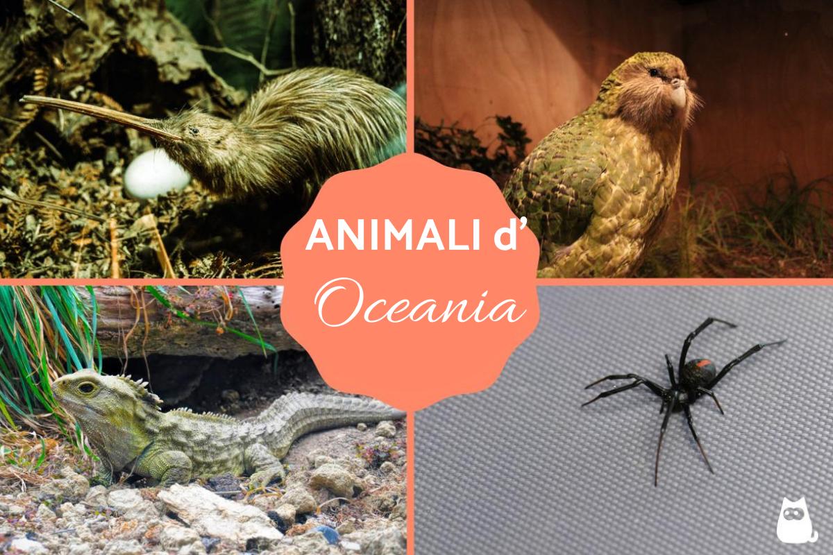 Animali d'Oceania