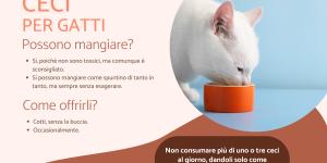 I gatti possono mangiare i ceci?