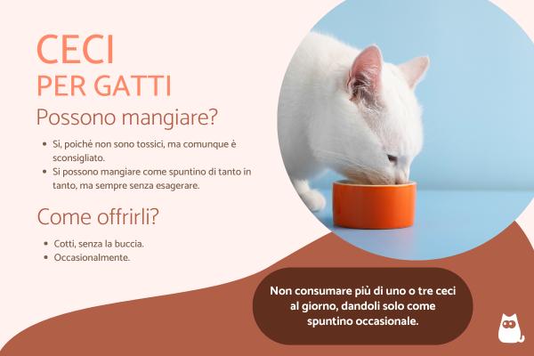 I gatti possono mangiare i ceci?