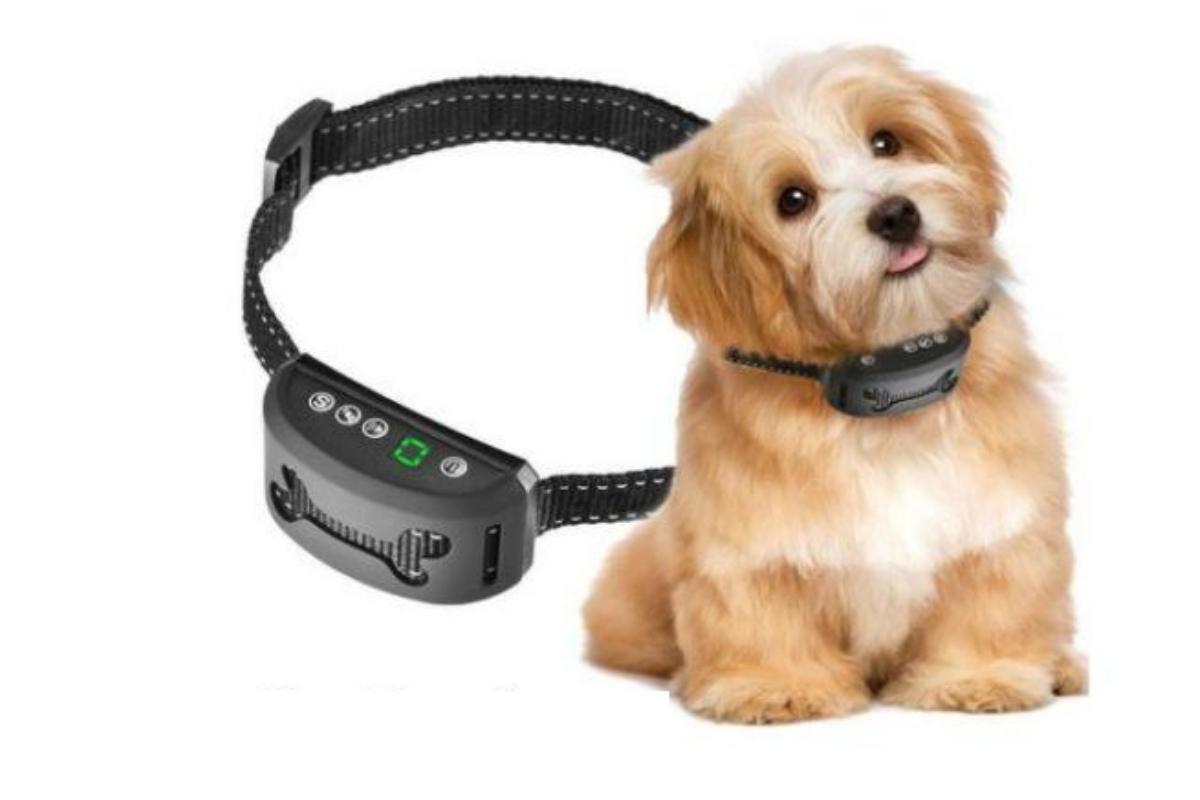 Collare antiabbaio per cani