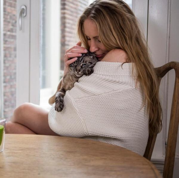 Come educare un gatto: 7 errori da non compiere