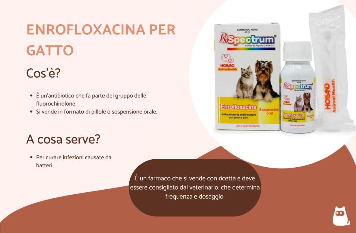 Enrofloxacina per gatto - Dosaggio, a cosa serve ed effetti collaterali