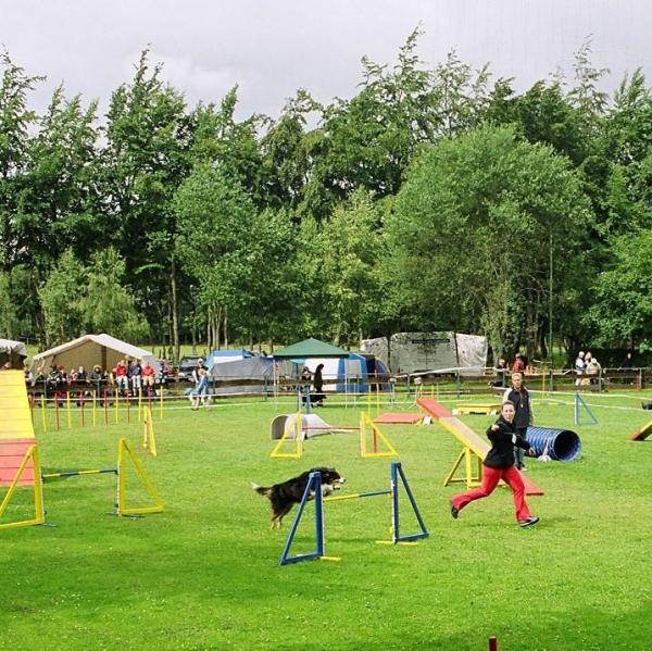 Percorso di Agility Dog