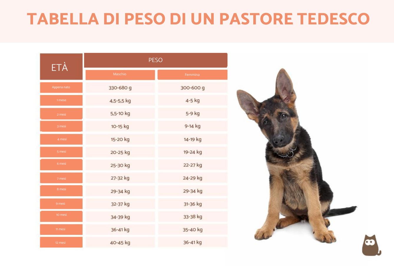 quanto pesa un cavallo adulto
