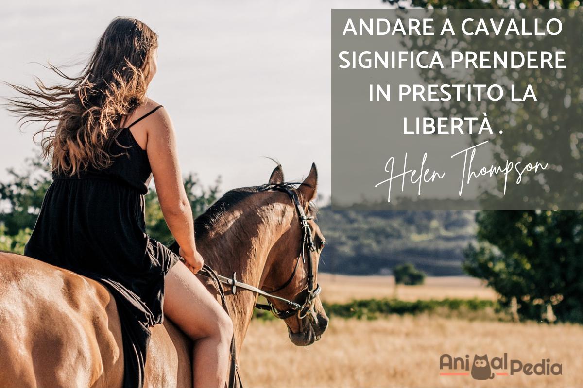Frasi sui cavalli