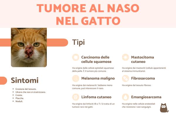 Tumore al naso nel gatto: come riconoscerlo