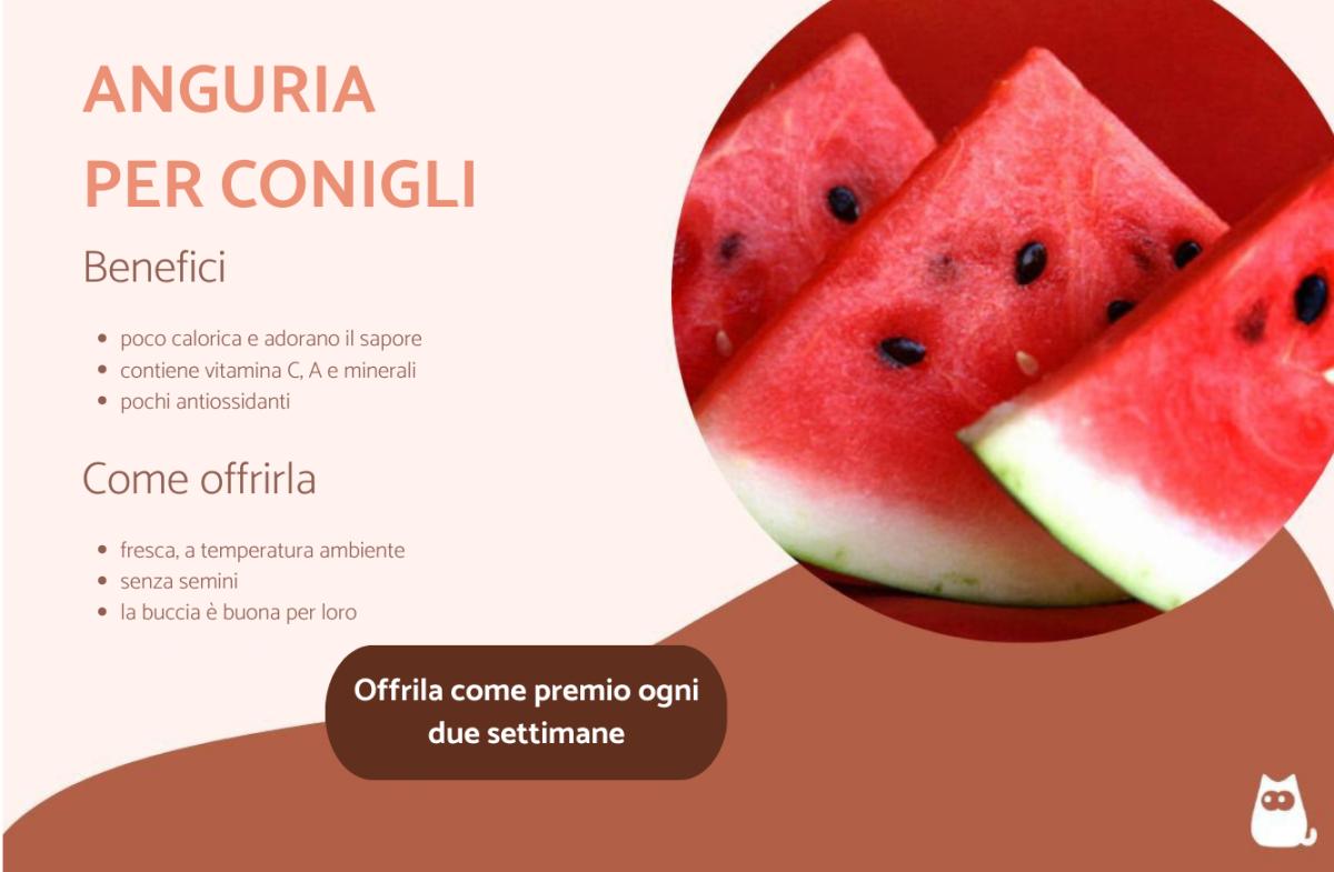 I conigli possono mangiare l'anguria?