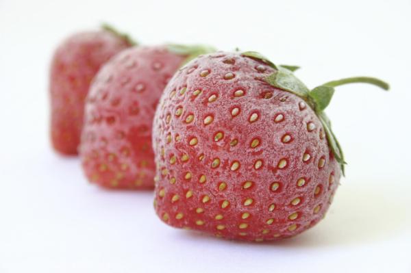Cibi che possono mangiare i gatti - Frutta per il gatto: cocomero, melone, fragole