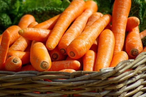 Cibi che possono mangiare i gatti - Verdure per il gatto: patate e carote