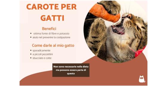 I gatti possono mangiare le carote?