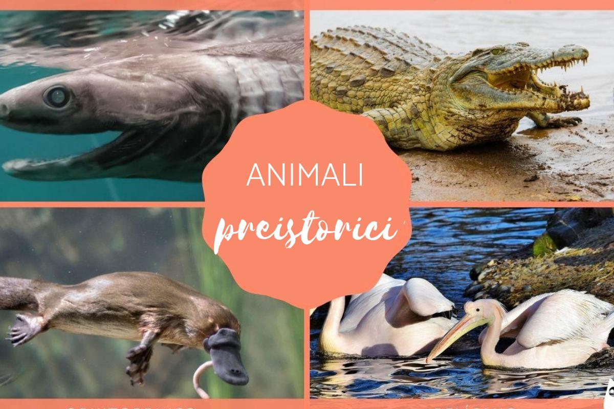 Animali preistorici: Caratteristiche ed esempi